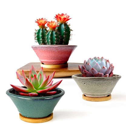 Summer Impressions 6 Inch Glazed Terracotta Succulent Pot Planter Small Plant Pot with Drainage Hole and Bamboo Saucer Cactus Ceramic Pot Set of 3 (Light Green Pink White)