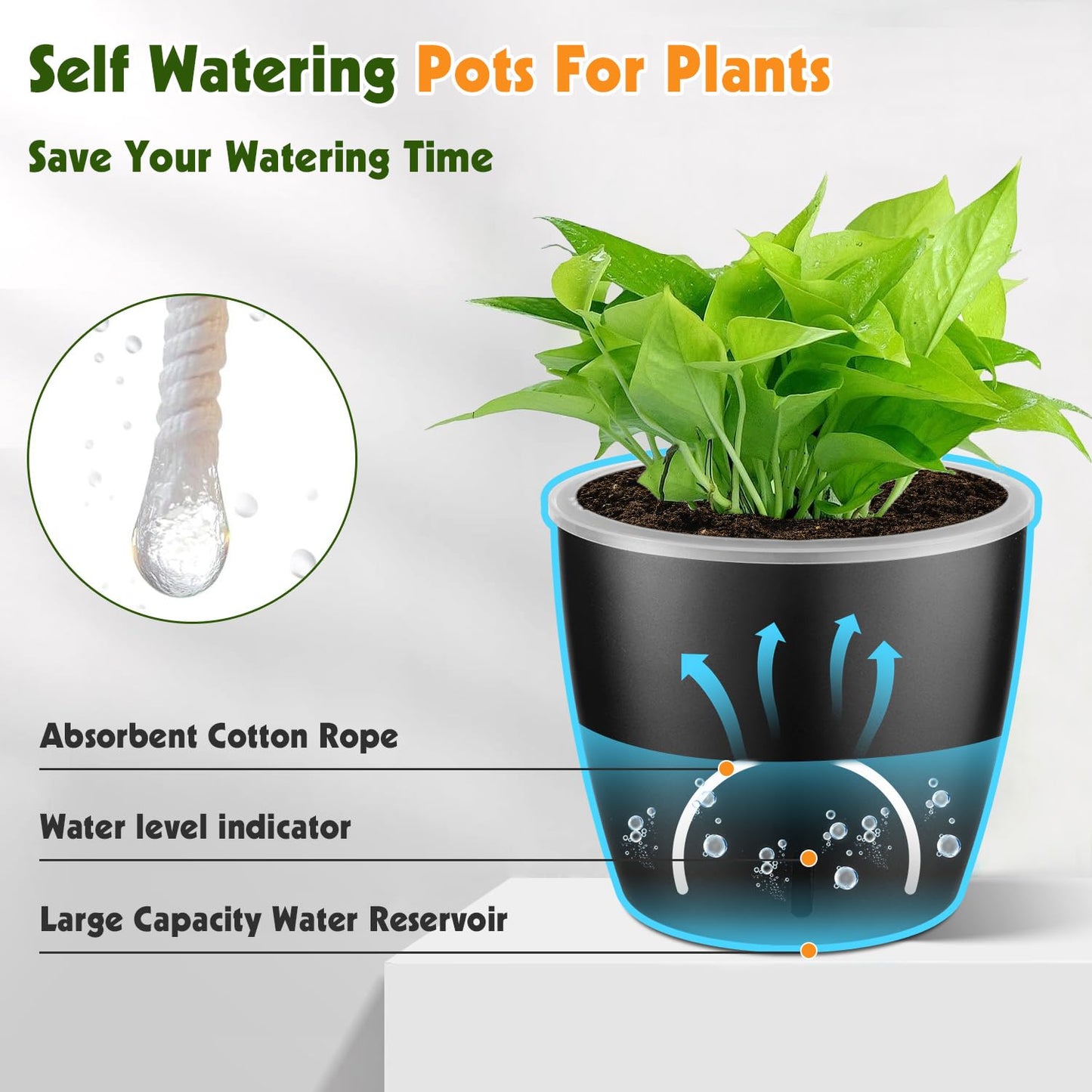 KvyusFlourish Self Watering Pots for Indoor Plants, 6-Pack 5'' Self Watering Planter with Drainage Holes, Small African Violet Pots with Water Indicator, Clear Wick Orchid Pot, Black