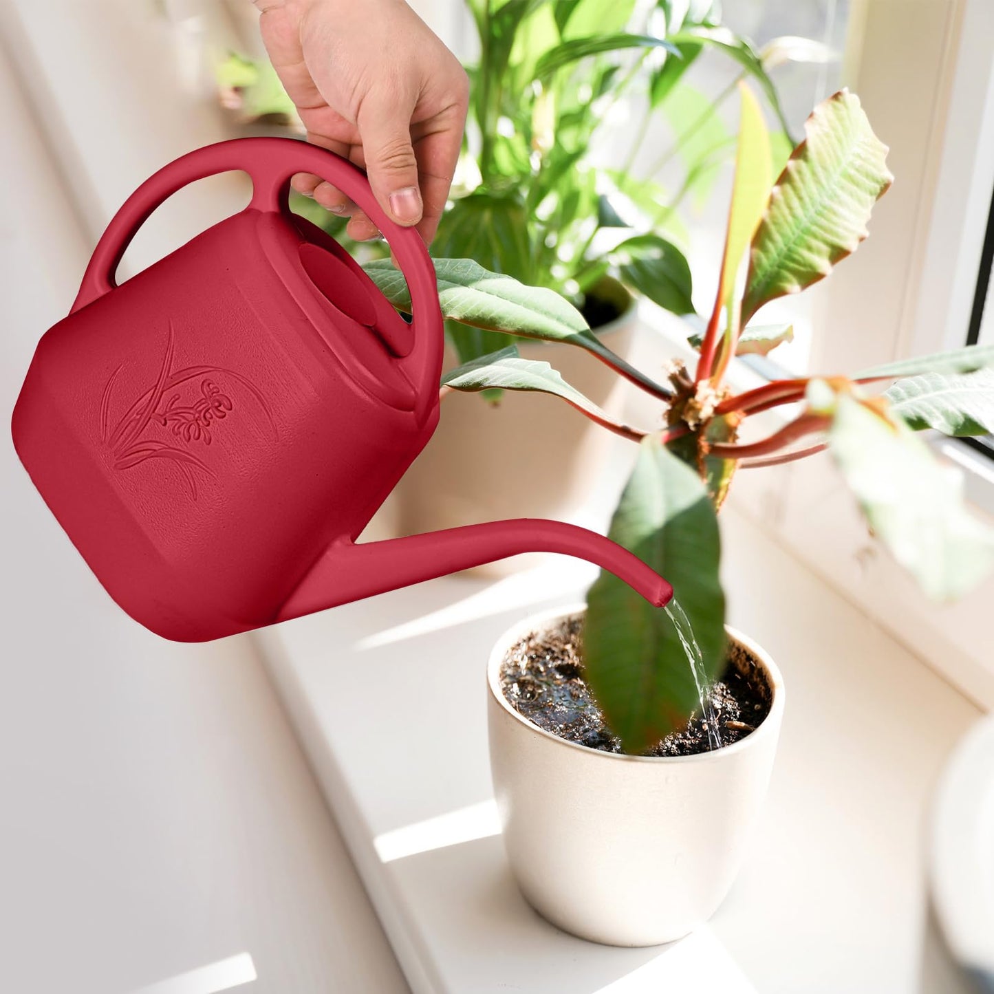 ZXJ Plant Watering Can - for Indoor and Outdoor Home Garden Plants - with Long Spout - Wine Red - 1/2 Gallon