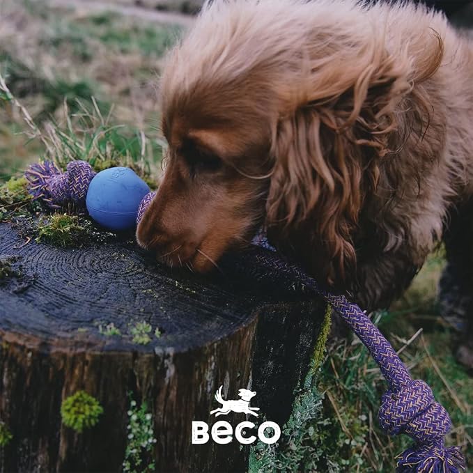 Beco Ball with Rope Small Dog Toy (Green), 5060189751334