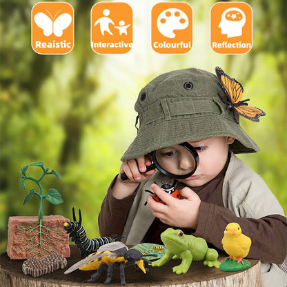 MIKNEKE Montessori Life Cycle Animal Figures with Flash Cards, Realistic Animal Figurines Toy, Educational Matching Game for 3+ Year Old Toddlers Kids (Ant)
