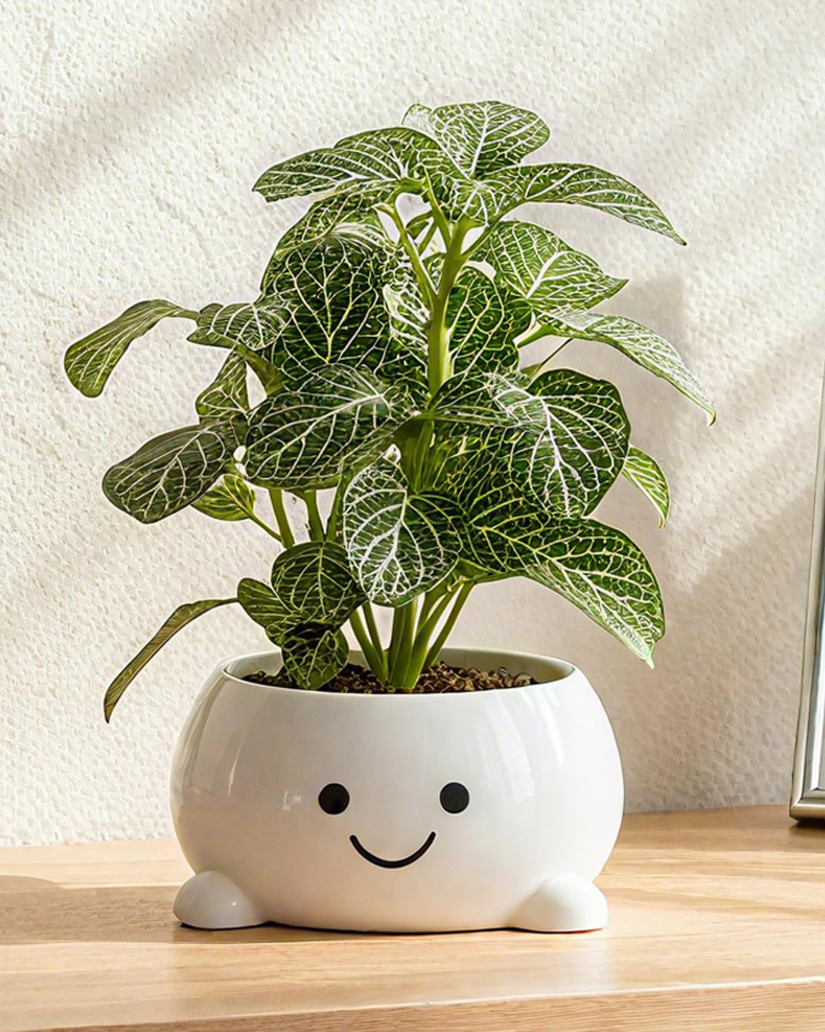 GaloTrek Smily Face Planter Pot Funny Toilet Plant Pots Cute Ceramic Flower Head Planters Succulent Pots for Indoor Outdoor Plants Unique Bathroom Planter with Drainage Hole