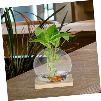 IWOWHERO 2sets Desktop Glass Planter Clear with Base for Hydroponic Plants Decorative Terrarium for Home Office for Small Greenery Floral Displays