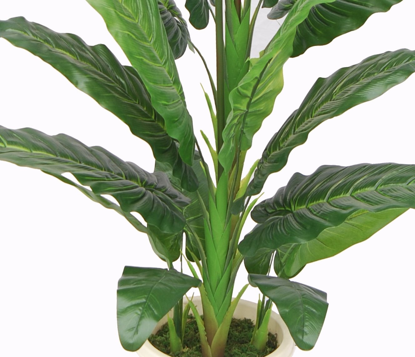AMERIQUE Gorgeous 5' Paradise Bird Artificial Flower Silk Tree Plant, with Nursery Plastic Pot, Feel Real Technology, with UV Protection, Super Quality
