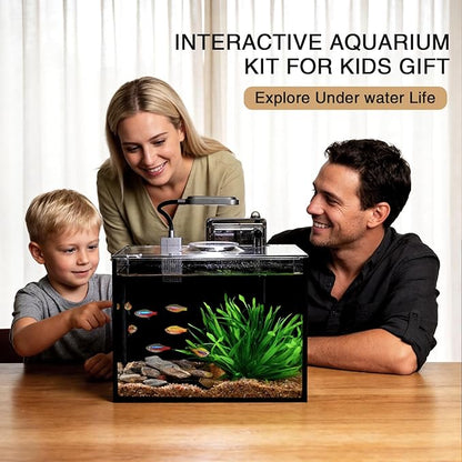 2 Gallon Betta Fish Tank, Small Aquarium Kit,Glass Small Fish Tank,Betta Fish Tank with a lid and Light and Filter, Small Transparent Glass Fish Tank with Light and Filter (Black Glass Background)