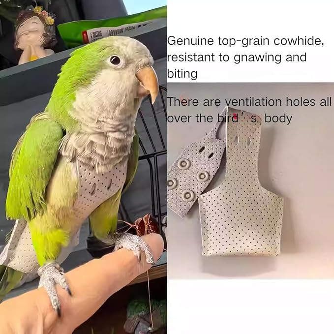Premium Genuine Cowhide Bird Flight Harness Anti Bite Breathable Parrot Diaper Parrot Suit with Leash for Parakeet Conure Quaker Flying Clothes Rope and Handle (without Leash,Sulphur-Crested Cockatoo)