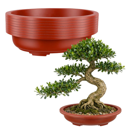 HOIGON 8 PCS 15 x 11 Inch Plastic Oval Bonsai Training Pots, Brown Large Shallow Oval Planter Pot with Drainage Hole, Plant Nursery Pot for Succulent