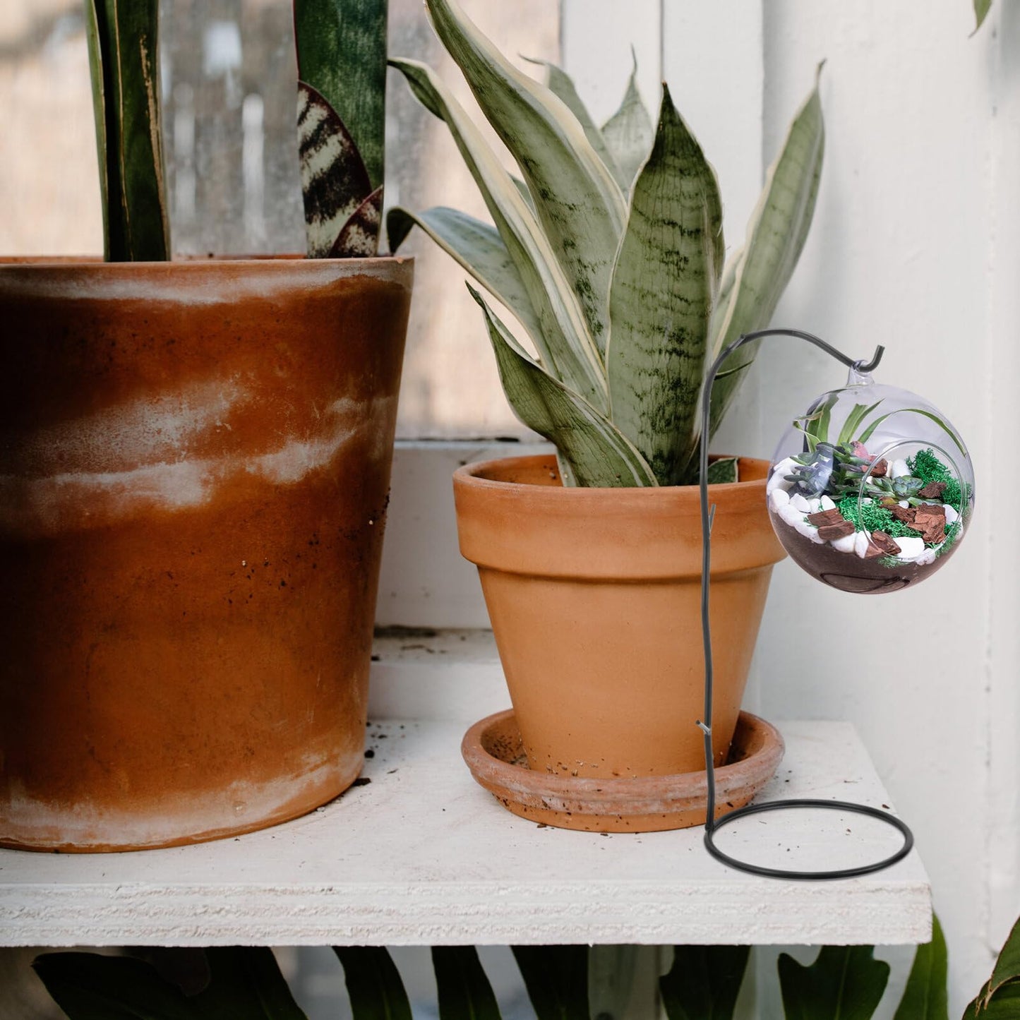 Sosoport Plant Hook Air Plant Holder Hanging Air Plant Stand Desktop Terrarium Hook Tabletop Terrarium Stand Bauble Terrarium Hanger Metal Terrarium Stand Glass Terrarium Holder Witch Stand
