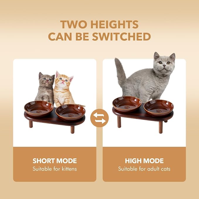 Havniva Elevated Cat Bowls Raised Ceramic Cat Bowl, 5.7” Wide Opening Cat Food Bowl Whisker Friendly Cat Dish Anti-Slip with Wood Stand, Shallow Pet Food & Water Bowl for Indoor Cats