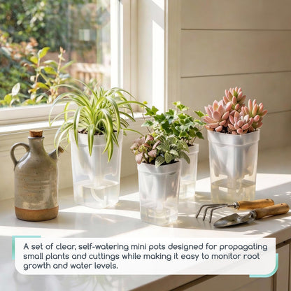 FIMXSD 12 Pack 2" Small Self-Watering Planter Pots - Mini Clear Seed Starter Pots with Visible Water Level, Plastic Nursery Pots for Succulents, Herbs, and Propagation - Includes 12 Plant Labels