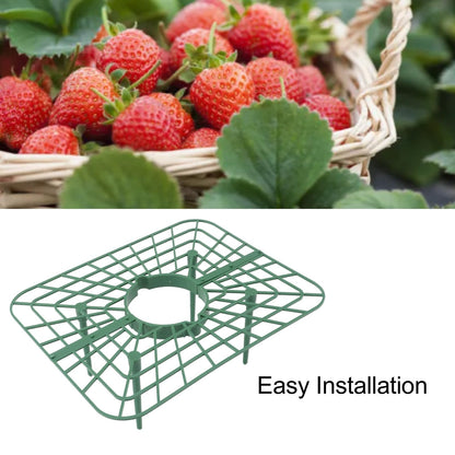 Sunicon 20Pcs Strawberry Supports, Detachable PP Waterproof Reusable Square Strawberry Growing Racks Plant Support Strawberry Stand Holder for Soil Planting Indoor Pots