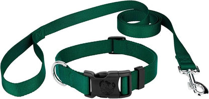 Country Brook Petz - Everyday Nylon Dog Collar and Leash - 10+ Cool Colors (1 Inch, Extra Large, Green)
