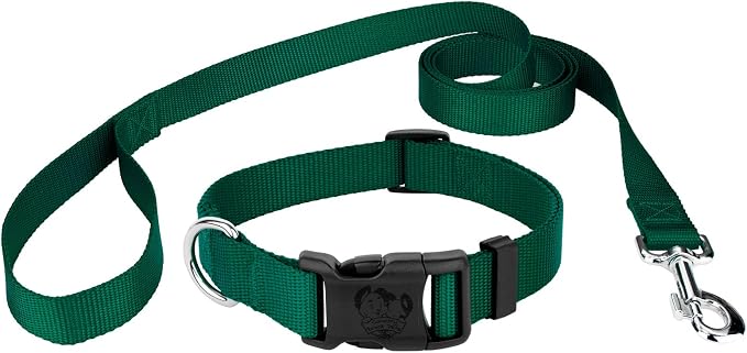 Country Brook Petz - Everyday Nylon Dog Collar and Leash - 10+ Cool Colors (3/8 Inch, 3XS, Green)