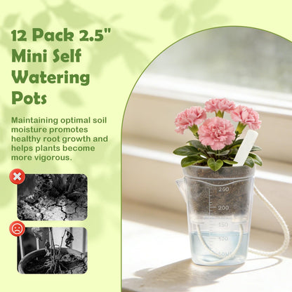 Shgxjjnb 16 Pack 2.5" Clear Self Watering Pots for Indoor Plants, Mini Clear Plastic Planters, with 16 Plant Label and Water Level and Drainage Holes for Seedlings, Cuttings, Succulents (Large)