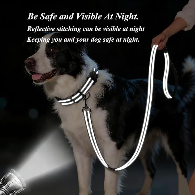 Dog Collar Leash Set, Gradient Color, with Safety Reflective Strips, 5 ft Matching Leash, Neoprene Padded Handle, Adjustable 4 Sizes for Small Medium Large Dogs.(L, Black Grey)