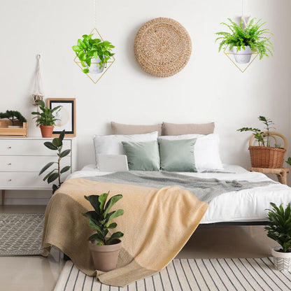Hanging Planters for Indoor Plants, 2 Set Self Watering Hanging Flower Pots, Modern Hanging Plant Baskets with Metal Plant Holder & 6.5 Inch Plastic Pots for Garden Home Decor (Gold Frame White Pot)