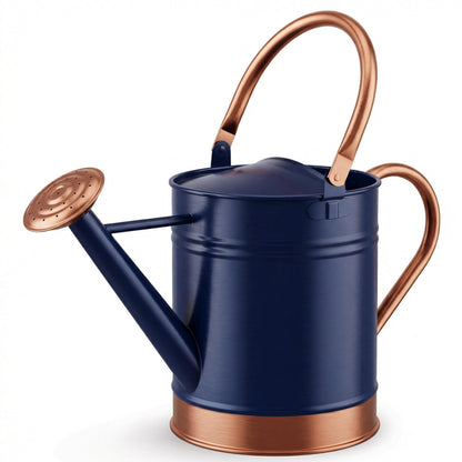 Gardenised 1 Gallon Galvanized Metal Watering Can with Removable Long Spout & Sprinkler Head for Indoor & Outdoor Use Ideal for Garden Flowers Potted Plants Houseplants Modern Home Accessories, Blue