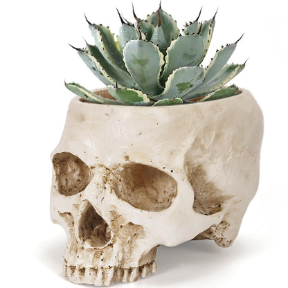 Sinromrich Skull Planter Pot for Plants - Realistic Human Skull Head Flower Pot, Halloween/Gothic Décor, Resin Planter for Succulents, Bonsai, Cactus, Home Bar, Desk, Spooky Gift Idea (Antique White)