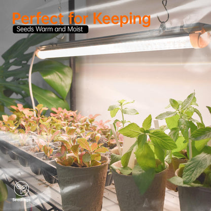 Bstrip Indoor Greenhouse with Grow Light, Mini Green House with 4 Pack 24W Full Spectrum Plant Lights with Timer, Plant Shelf with Tent for Indoor Plant, Seed Starting, Seed Tray, 35.4"x13.8"x59"