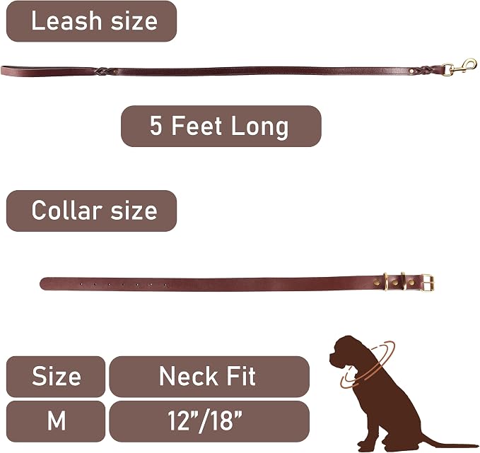 Heavy Duty Genuine Leather Dog Collar and Leash Set - 5ft Soft and Durable With Metal Buckle - Adjustable, Compatible for Small to Medium Dogs
