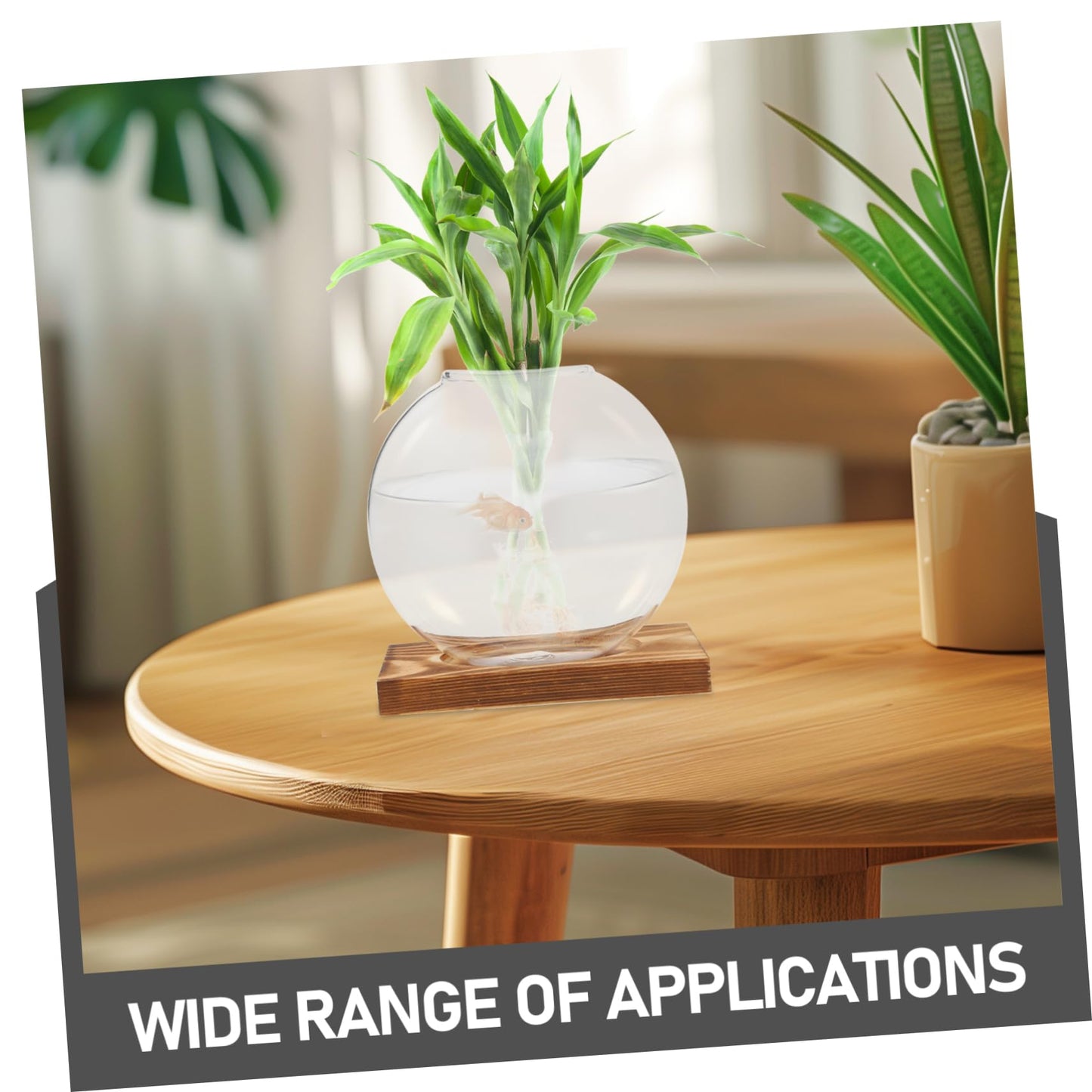 Totority Desktop Hydroponic Glass Plant Propagation Station with Transparent Vase and Wooden Base Soil Indoor Terrarium for Home Office Decoration and Tea Ceremony Display