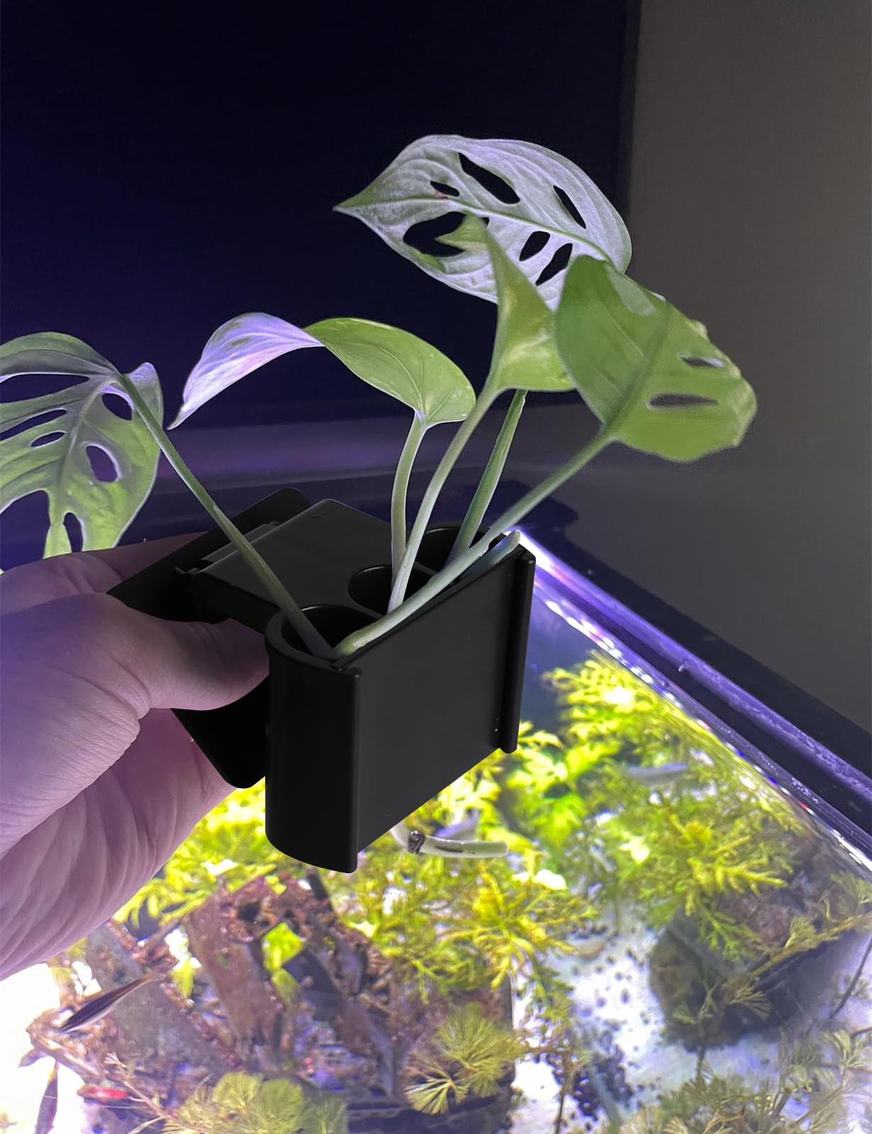 joqepy 4 Pk Upgraded Aquarium Plant Holder, 3-Hole Hanging Aquarium Plant Holder with Clip, Suitable for Fish Tank Plant Potting, Aquarium Decoration, Plant Holder for Fish Tank, Black