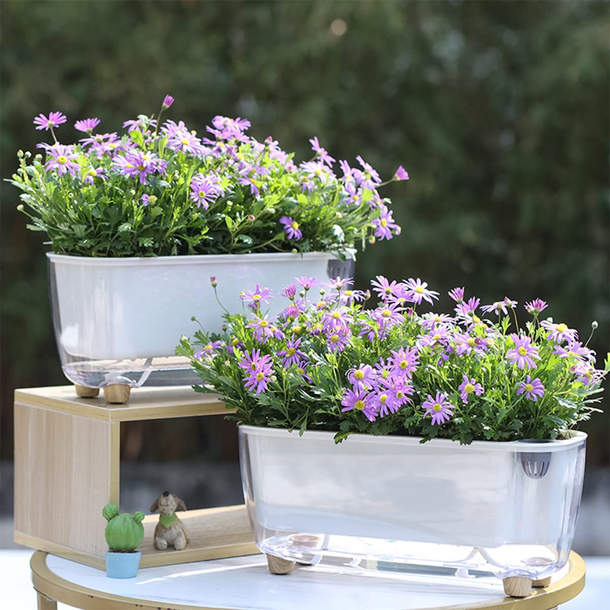 5 Pack Rectangular Planter 11.8 x 4.6 in Self Watering Planter Window Sill Planters Indoor Rectangle Planter Self Watering Pots Plastic Plant pots for African Violet Flower Orchid (Clear, 5)
