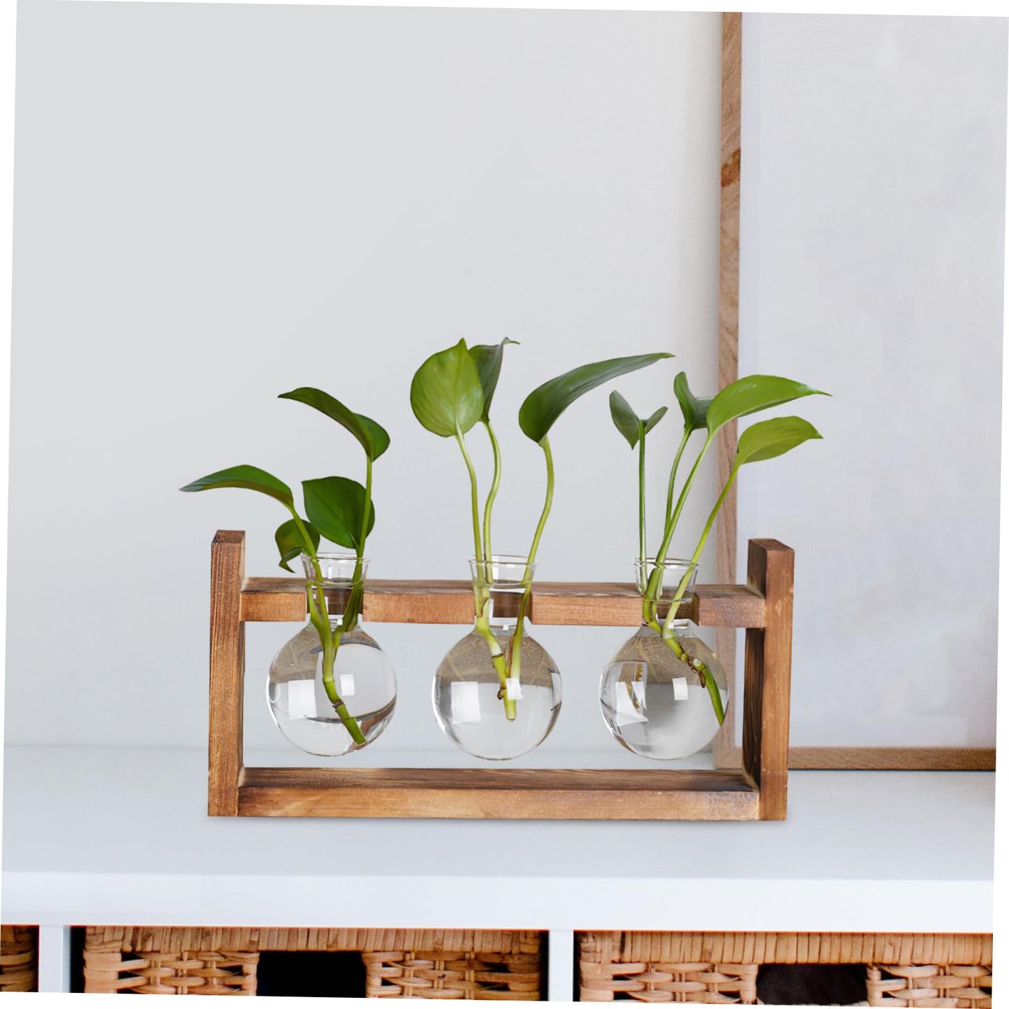 Abaodam Terrarium Plants Glass Planter Air Plant Terrarium Glass Vases for Centerpieces Bulb Vase