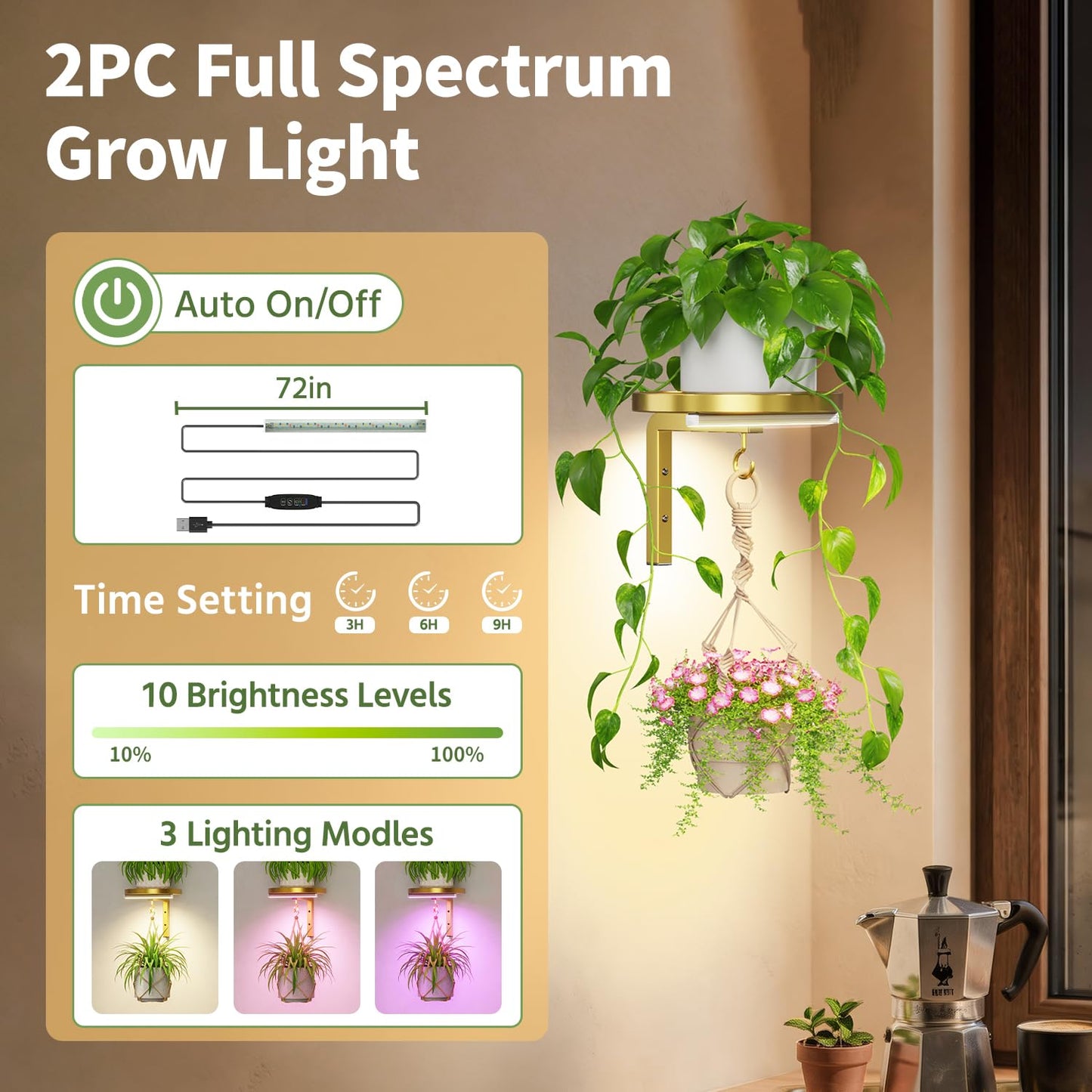 LASZOLA Plant Hangers Shelves Wall Mounted Indoor with Grow Lights, Metal Window Plant Holders, 2Pcs Modern Floating Flower Display Stand with 2 Hooks for Outdoor Kitchen Bathroom Decor, Gold