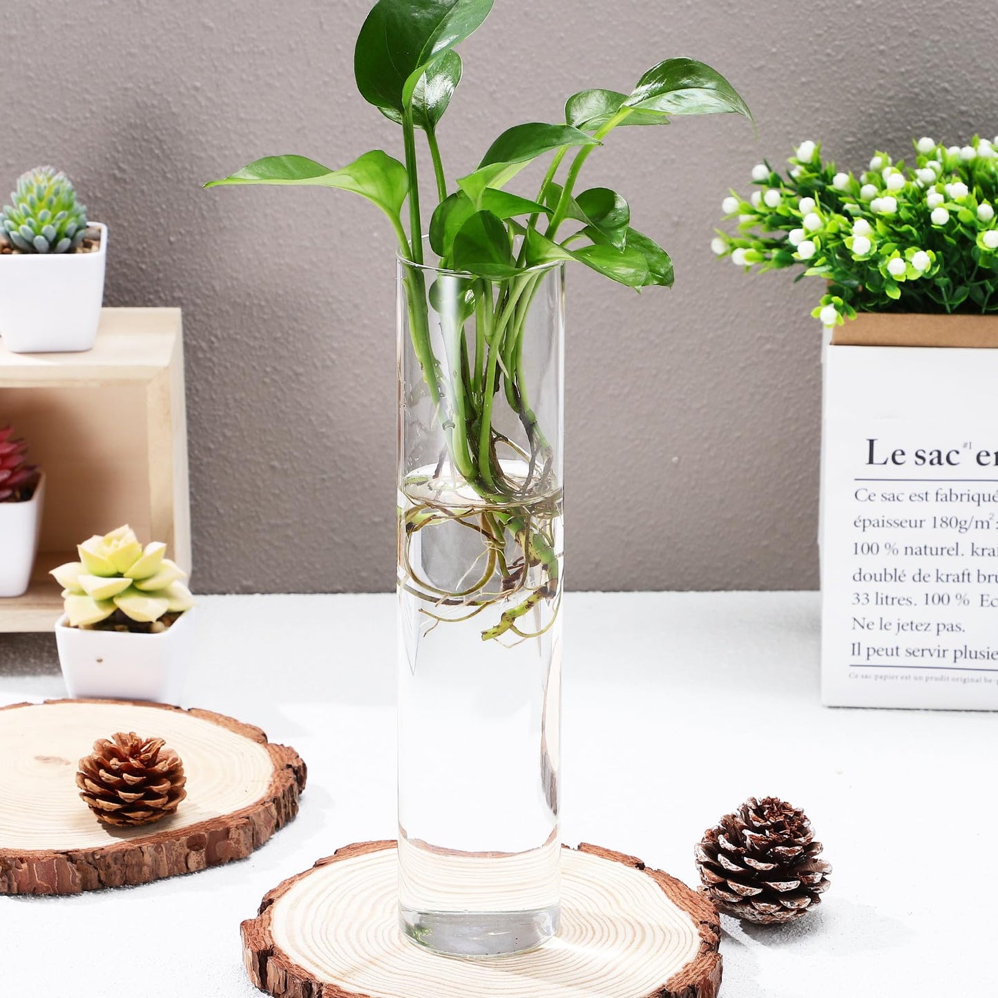 SILENRADAWN Cylinder Glass Wall Vase Set 2pcs Hanging Hydroponic Flower Tube Vases for Indoor Plants Wall-Mounted Plant Holders Decorative Terrarium Containers for Home and Office