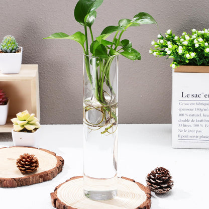SILENRADAWN Cylinder Glass Wall Vase Set 2pcs Hanging Hydroponic Flower Tube Vases for Indoor Plants Wall-Mounted Plant Holders Decorative Terrarium Containers for Home and Office