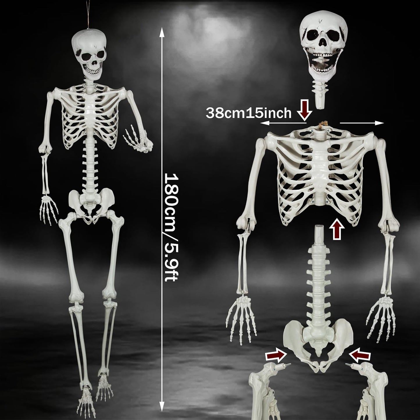 SUNREEK 5.9ft Halloween Full Size Skeleton, Large Human Skeleton Bones with Full Body Posable Joints for Halloween Graveyard Haunted House Spooky Scene Décor (5.9ft)