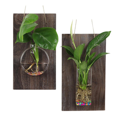 Marooma 2 Pcs Wall Hanging Glass Vases, Solid Wood Wall Mounted Glass Vase, Clear Terrarium Display Vase for Hydroponic Flowers Plants, Home Office Garden Decor (A)