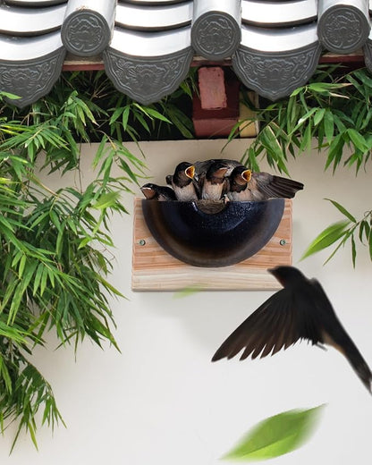 Swallow Houses for Outside, Tree Barn Swallow HDPE Composite Material Everlasting Nesting House Nest Box, Cedar Hanging Board Everlasting Under Roof 10"*4"*5.6" Large Copacity Inside Spaces
