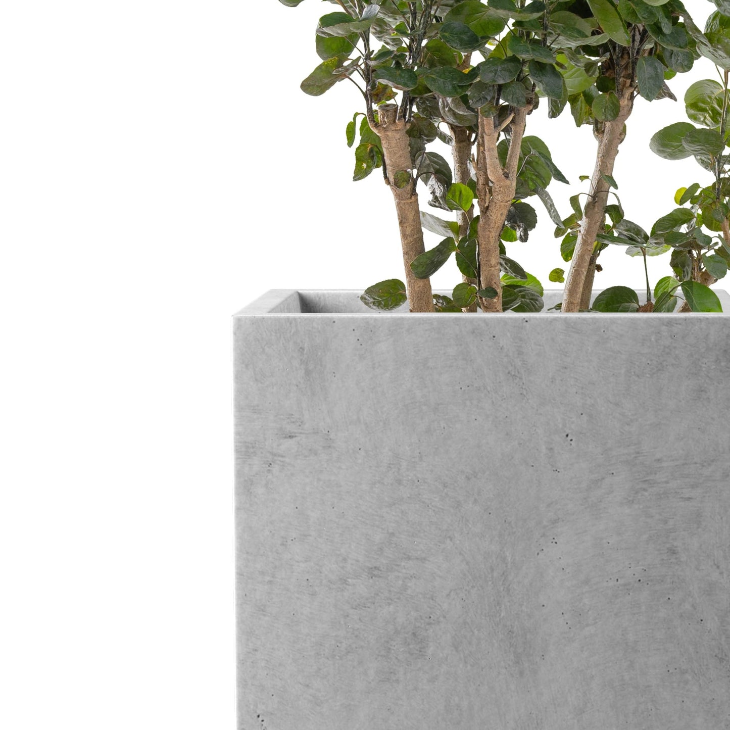 Kante 15.7" H Tall Rectangular Concrete Planters, Outdoor Indoor Lightweight Plant Pots with Drainage Hole and Rubber Plug, Modern Style for Home Garden Patio, Natural Concrete