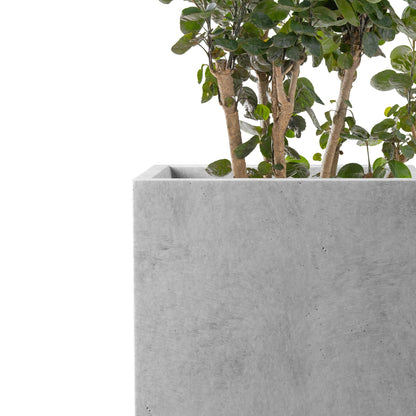 Kante 15.7" H Tall Rectangular Concrete Planters, Outdoor Indoor Lightweight Plant Pots with Drainage Hole and Rubber Plug, Modern Style for Home Garden Patio, Natural Concrete