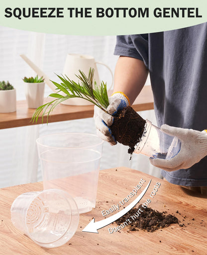 homenote Clear Nursery Pots for Plants,6.7 Inch Plant Pot for Planting Plastic Seedling with Drainage Holes Seed Starter Flower High Transparency with 20 Labels (15 Pack)