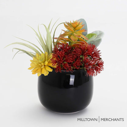 Milltown Merchants Succulent Wall Planters - Wall Vases - White Ceramic Wall Mounted Planters - Succulent Plant Pots - Hanging Vases for Living Wall (2 Pack/Modern/Black)
