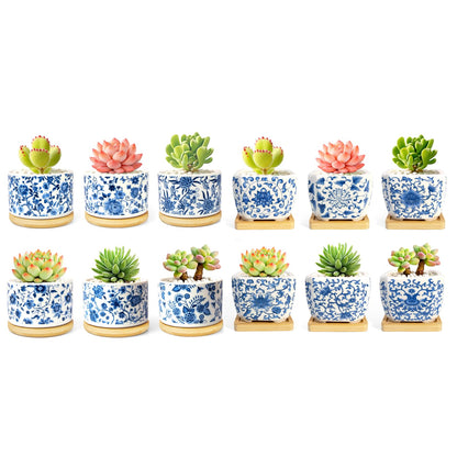 celamos Succulent Pots 6 Pack, Small Flower Pots with Drainage Bamboo Tray, Succulent Pots for Indoor Plants, Cactus Pots and Planters, Decorative Small Pots for Home Office
