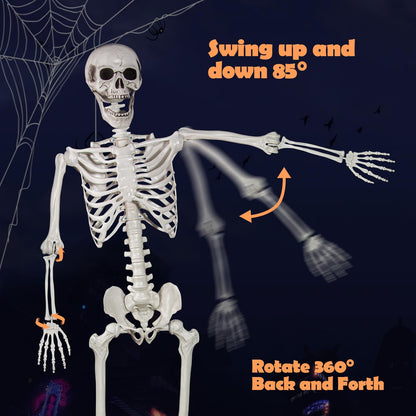 LaLamona 5.4ft Posable Halloween Skeleton, 2Pcs Life Size Skeleton Bones with Movable Joints for Halloween Graveyard Haunted House Spooky Scene Decor