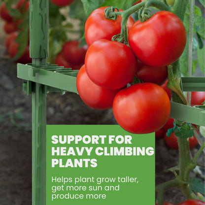 Tomato Cage - Trellis Stakes and Plant Support Structures for Vegetables and Climbing Plants - Tall Tomato Cages for Garden, Pots, Raised Garden Bed Outdoor (3 Pack - Up to 48 Inches)