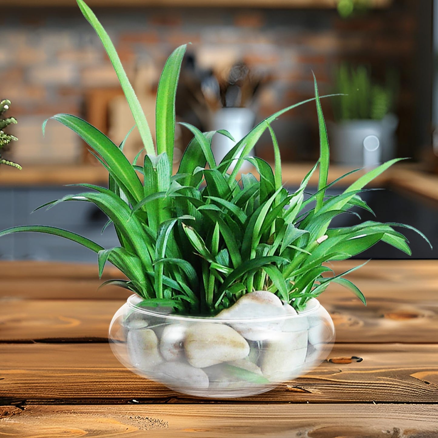 GANAZONO Clear Fish Bowl Vase Bubble Bowl Round Shallow Planter Glass Hydroponic Planter Floral Container for Table Centerpiece Wedding Event 15cm