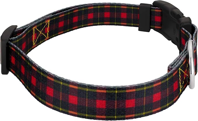Country Brook Petz - Buffalo Plaid Everyday Dog Collar and Leash - Plaid and Argyle Collection Featuring Charming Designs (5/8 Inch, Small)