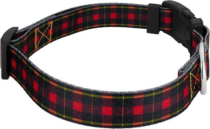 Country Brook Petz - Buffalo Plaid Everyday Dog Collar and Leash - Plaid and Argyle Collection Featuring Charming Designs (5/8 Inch, Small)