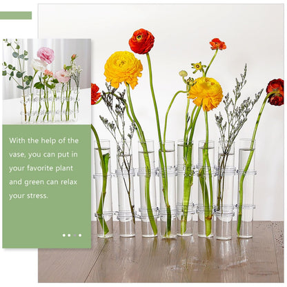 BESPORTBLE Test Tube Glass Vases for Flowers 8pcs Large Hydroponic Plant Terrariums with Brush Home Décor Propagation Station for Living Room Desk
