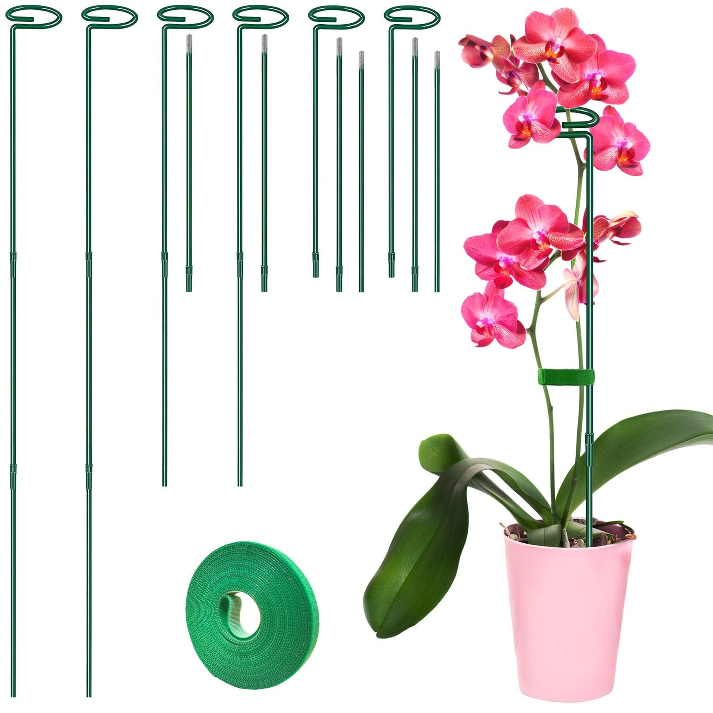 Plant Support Stakes 6 Pack, 12/24/36 Inch Heavy Duty Metal Plant Stakes, Adjustable Garden Plant Support Cages/Rings for Outdoor Indoor Plants, Plant Stick Support for Amaryllis Tomato Peony Orchid