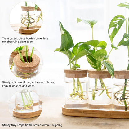 Dahey Plant Propagation Terrarium Desktop Glass Planter Station Water Planting Glass Vase with Lid and Wooden Stand for Propagating Hydroponic Plants Centerpiece Office Home Garden Decor, 4 Pcs