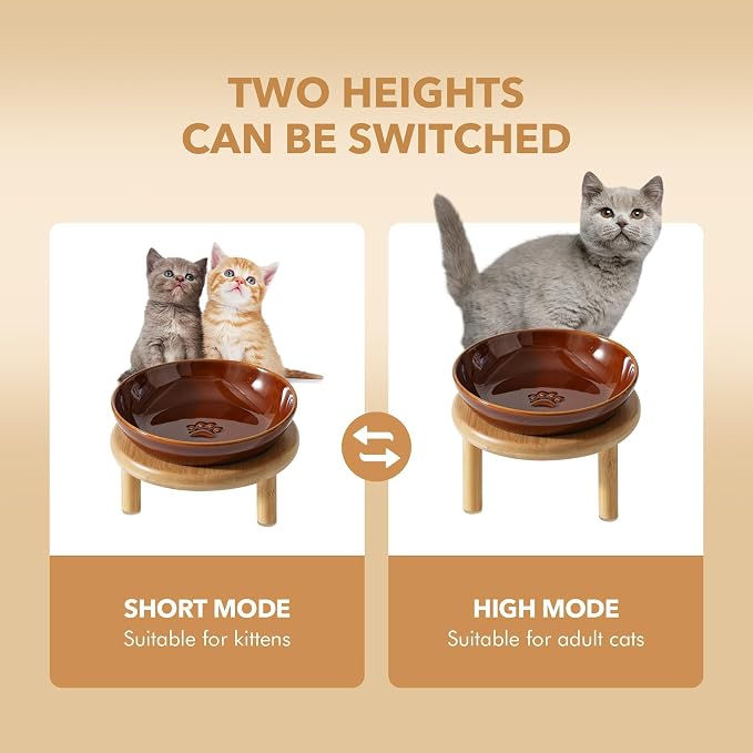 Havniva Elevated Cat Bowls Raised Ceramic Cat Bowl, 5.7” Wide Opening Cat Food Bowl Whisker Friendly Cat Dish Anti-Slip with Bamboo Stand, Shallow Pet Food & Water Bowl for Indoor Cats