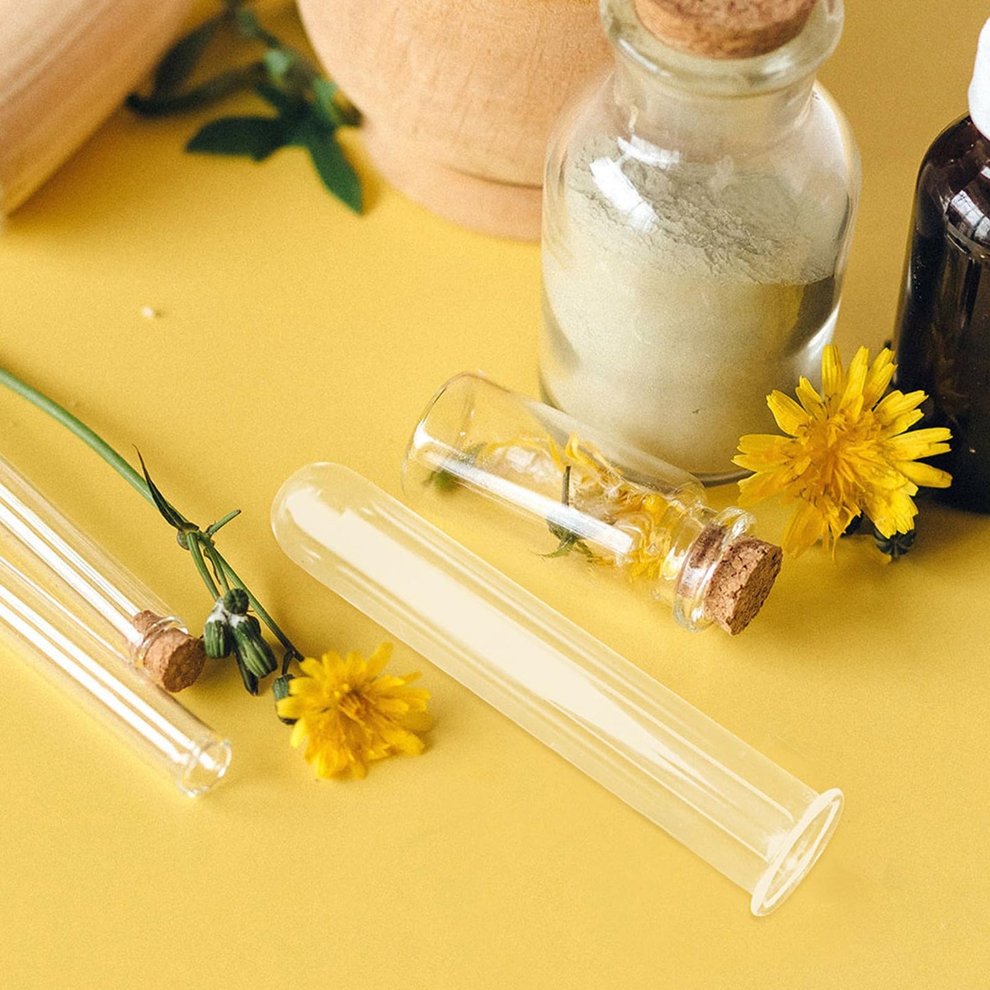 Beaupretty 5pcs Glass Hydroponic Test Tube Plant Vases for Small Terrarium Plants Floral Propagation Tubes 2.5x3x15cm Glass Containers for Indoor Garden Décor