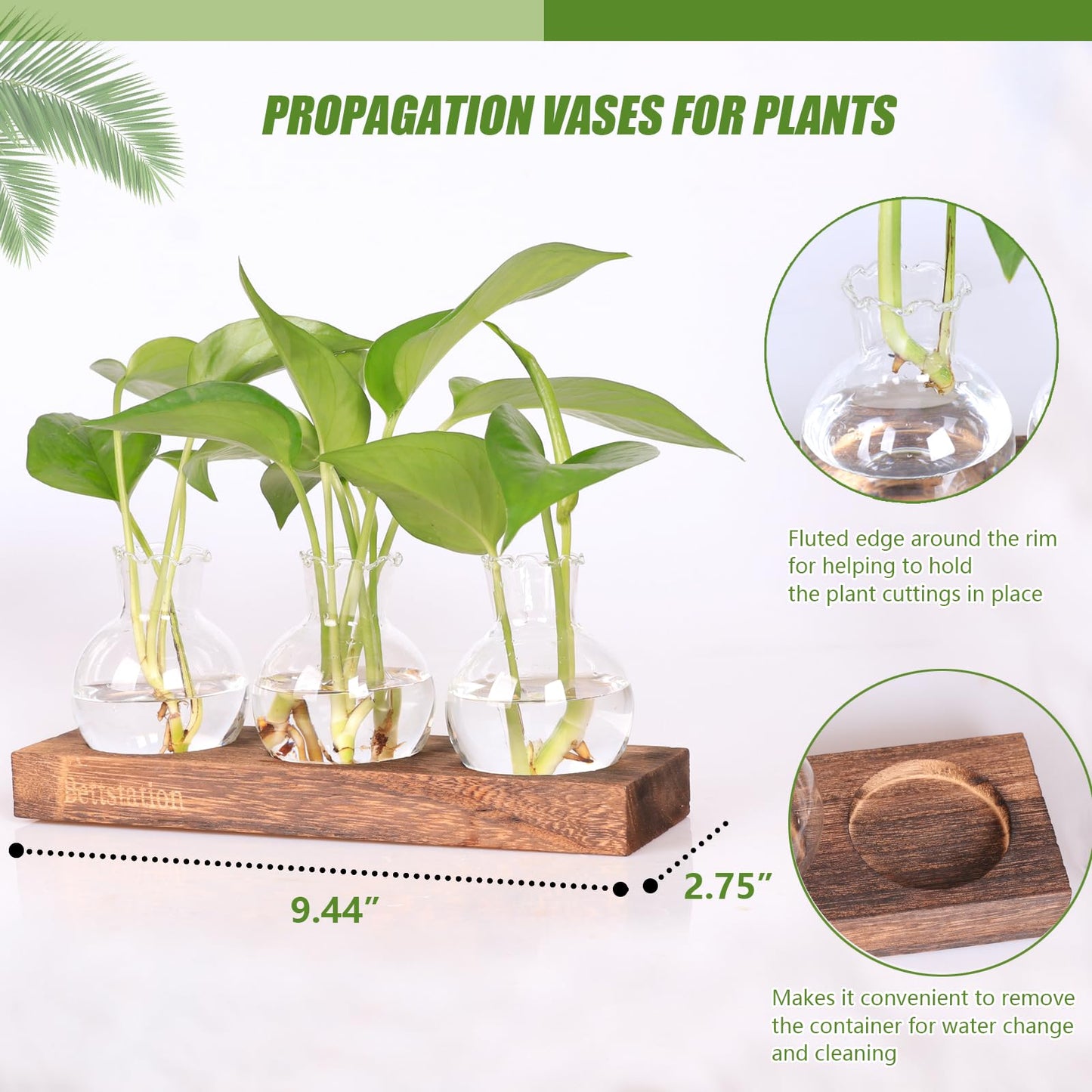 Bettstation Plant Propagation Station, Plants Terrarium with Wooden Stand Bulb Glass Vase Planter Gift for Plant Lovers Home Office Decor